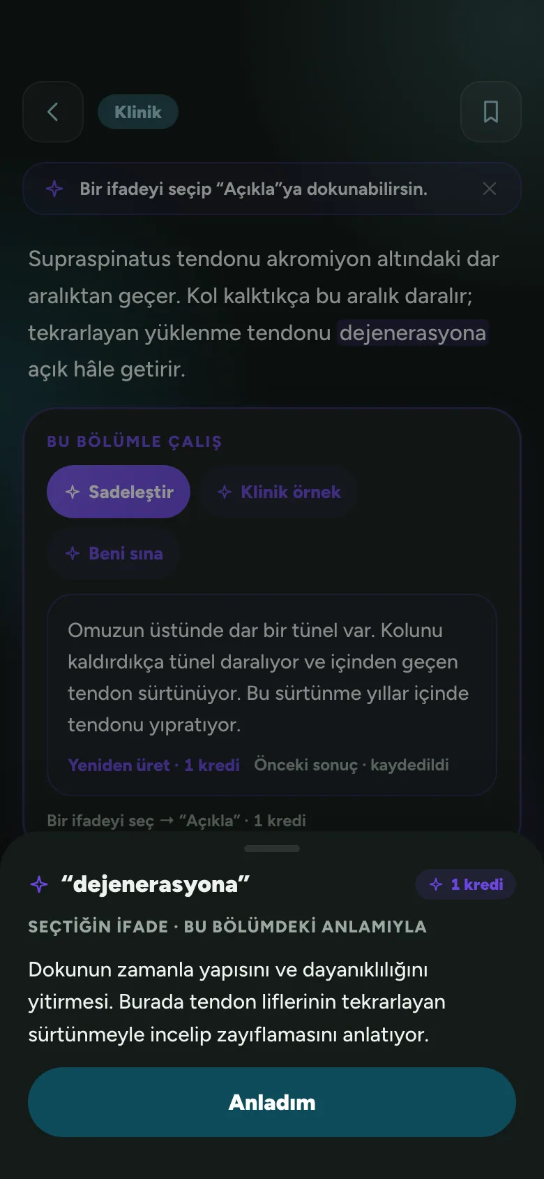 Yapay zekâ ekranı: okumada sadeleştirilmiş bölüm ve terim açıklaması
